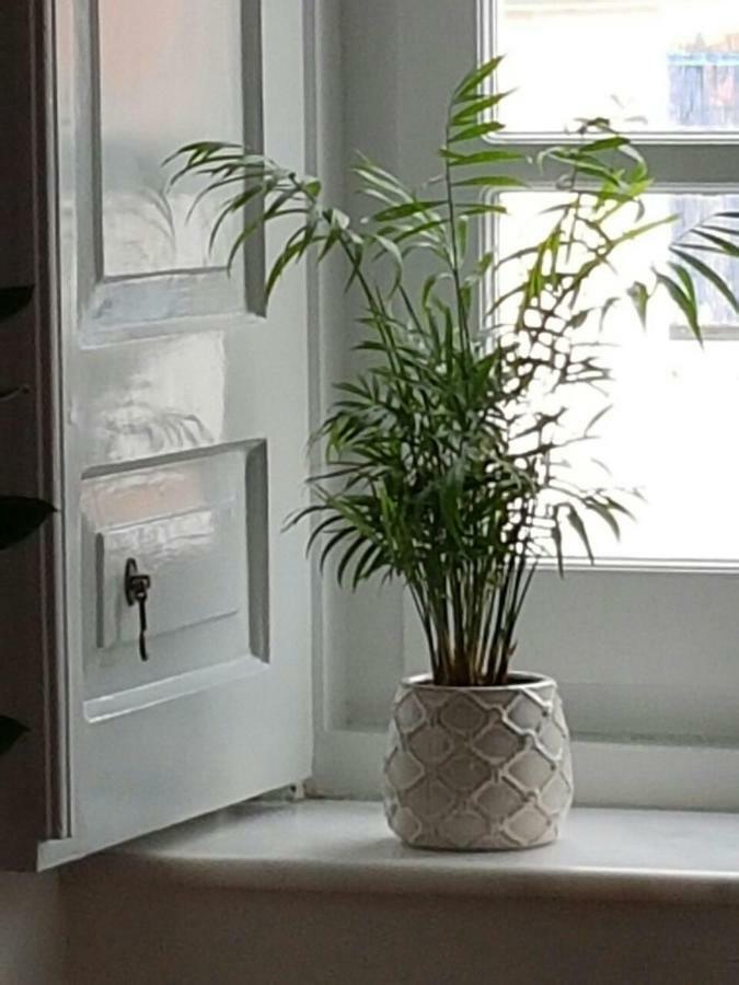 Hydra Memories House Pensionat Exteriör bild